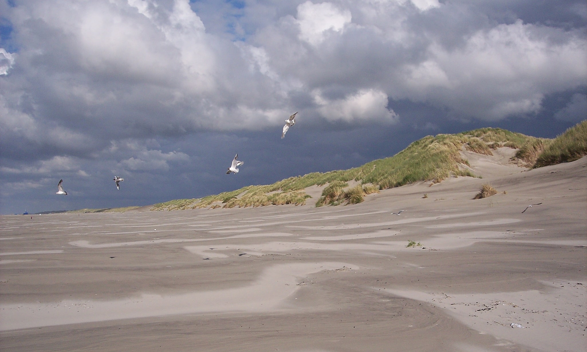 Terschelling, Pays-Bas