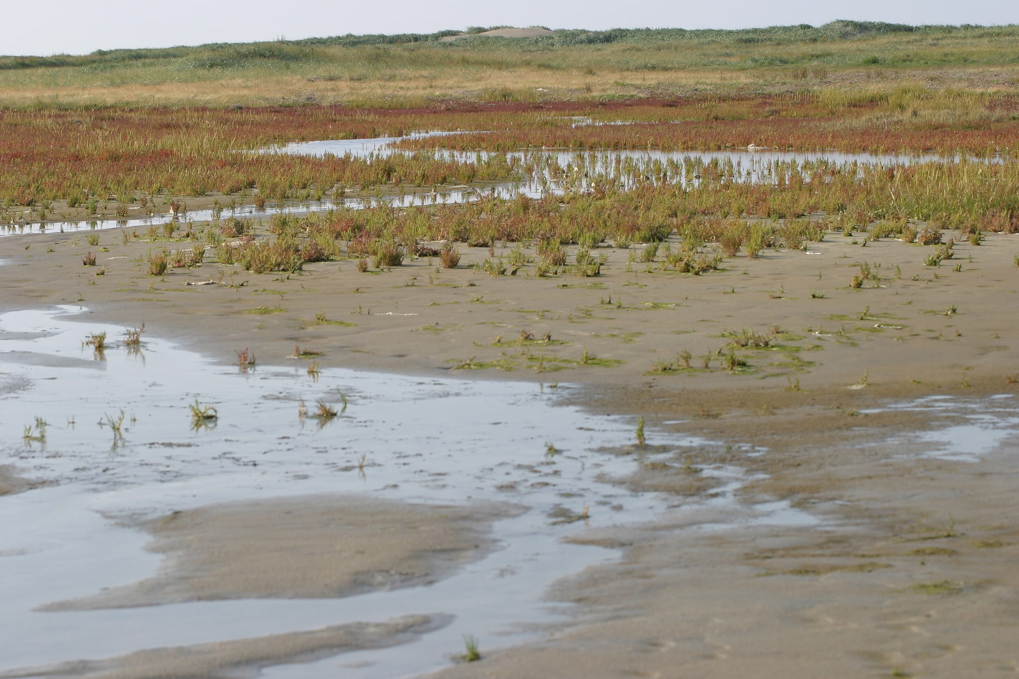 Rottum, Niederlande