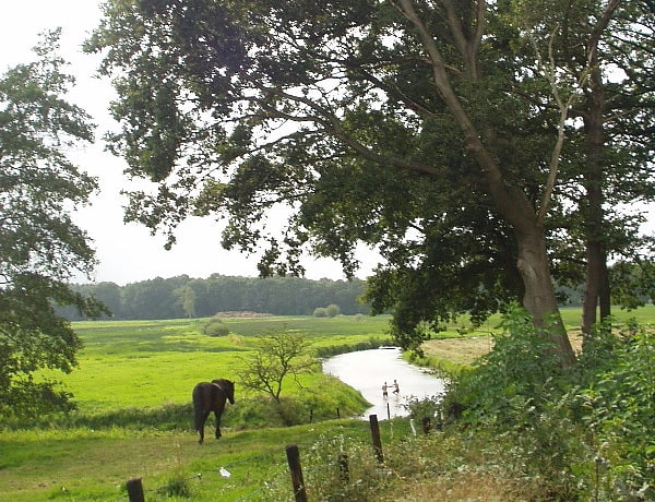 Parc national Drentsche Aa, Pays-Bas