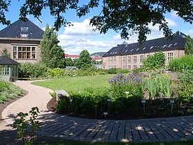 Jardin botanique de l'université d'Oslo