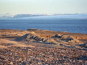 rezerwat przyrody nordaust svalbard