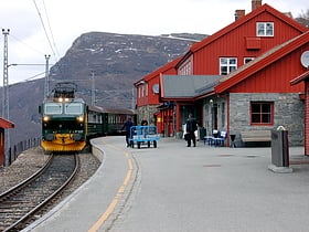 stacja kolejowa myrdal