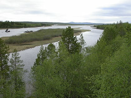 Pasvik Nature Reserve