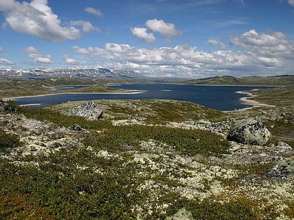 hardangervidda nationalpark