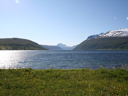 Lavangsfjorden