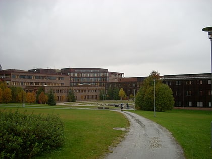 universitat tromso norwegens arktische universitat