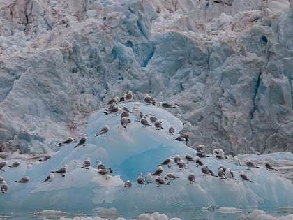 fjortende julibreen parc national de nordvest spitsbergen