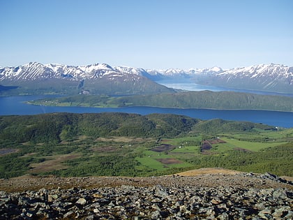 Kvæøya