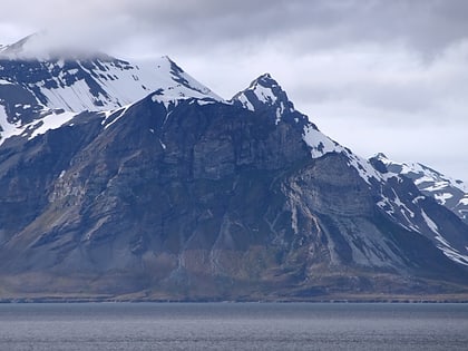 alkhornet nordre isfjorden nationalpark