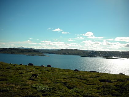 rosskreppfjord