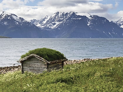 Fiordo de Lyngen