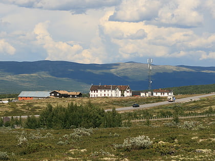 Fokstuguhøi