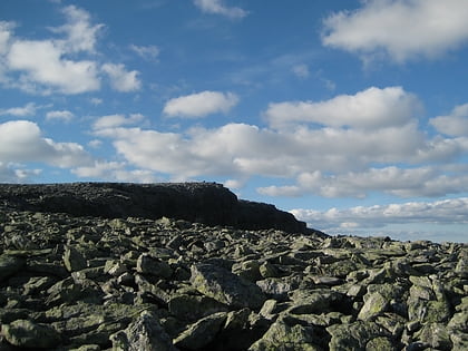 sorhellhoi park narodowy dovrefjell