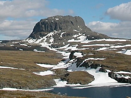 harteigen hardangervidda