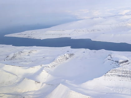 qvigstadfjellet parc national de nordenskiold land