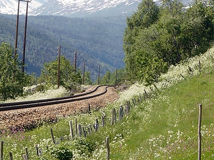 donttinden parque nacional reinheimen