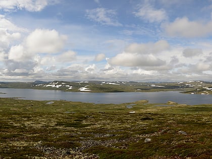 Halnefjorden