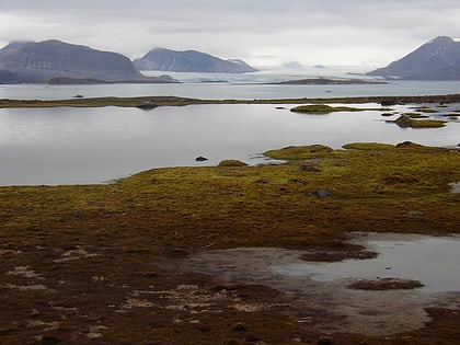 reserve ornithologique de kongsfjorden