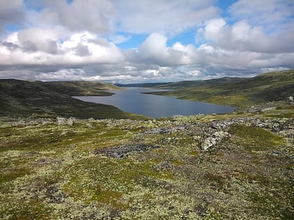 Hettefjorden