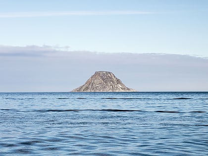 Tavleøya