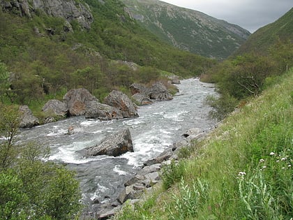 drivdalen park narodowy dovrefjell