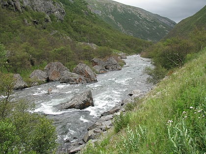 drivdalen parque nacional dovrefjell sunndalsfjella