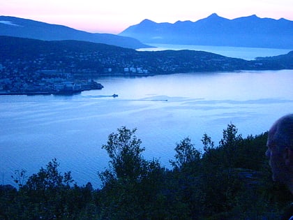Vågsfjord