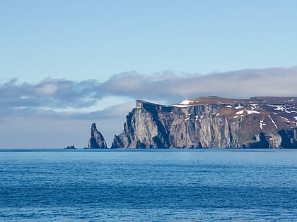wilhelm island nordaust svalbard nature reserve