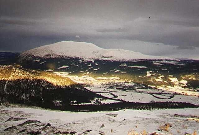 tronfjell tynset