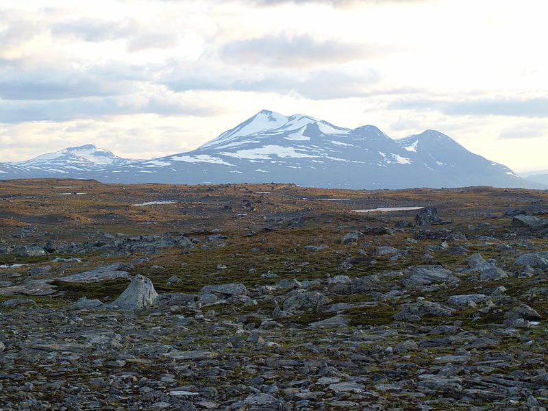 alpes scandinaves parc national de borgefjell