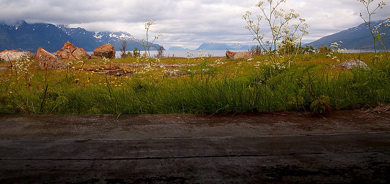 Spåkenes coastal fort