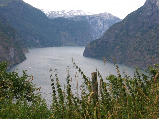 Aurland