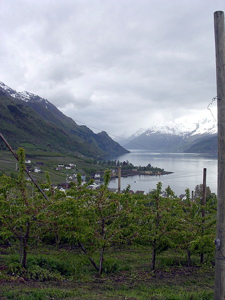 Sørfjord