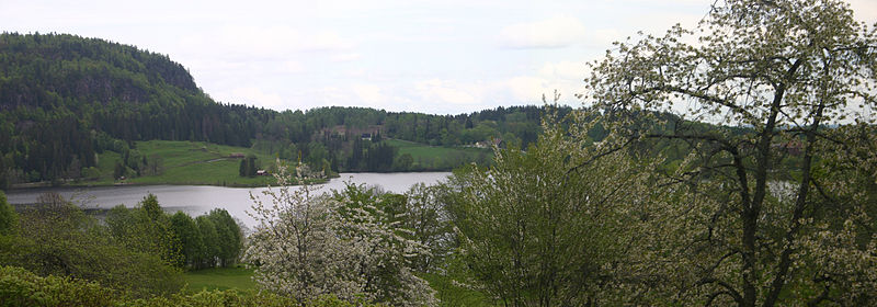 Skaugumsåsen