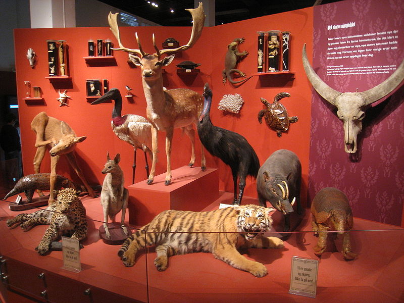 Museo de Historia Natural de la Universidad de Oslo
