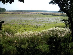 rezerwat przyrody sukla phanta