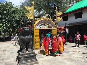 Bhadrakali Temple