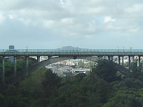 Grafton Bridge