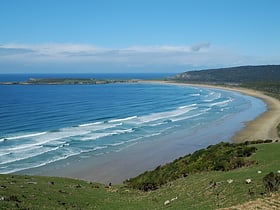the catlins