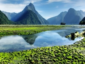 zatoka milforda park narodowy fiordland
