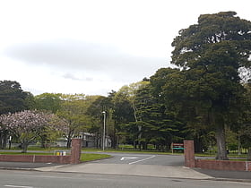 maidstone park upper hutt