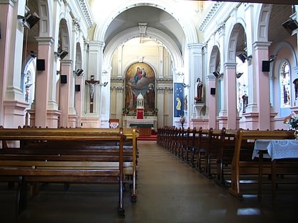 basilica de san patricio dunedin