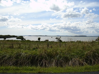 Lake Waikare