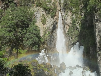tarawera falls kawerau
