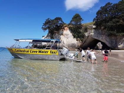 cathedral cove water taxi hahei