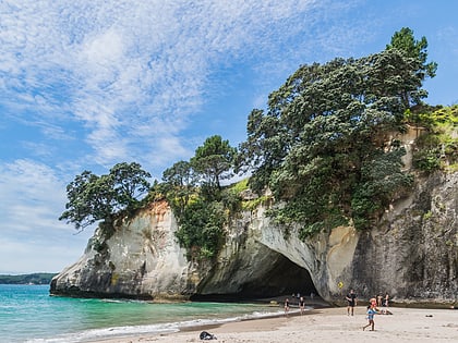 cathedral cove hahei