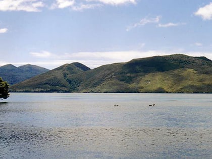 lake rotoaira