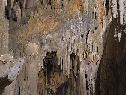 Ngārua Caves