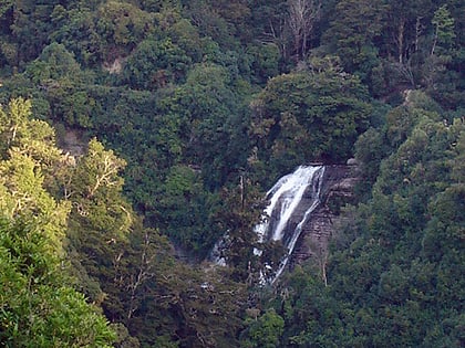 mokau falls parc national de te urewera