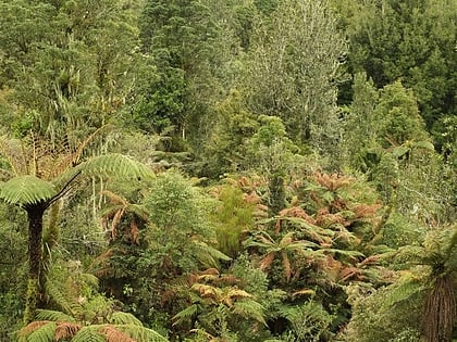 Park Leśny Pirongia